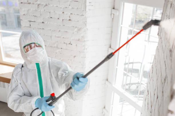 Best Asbestos and Lead Testing During Mold Inspection  in Pasadena Hills, FL