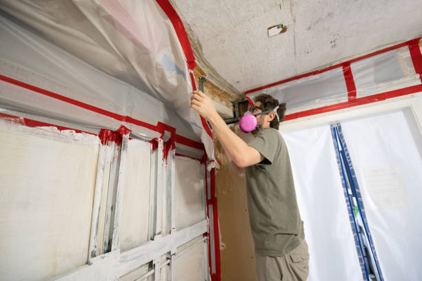 Best Mold Odor Removal Services  in Pasadena Hills, FL