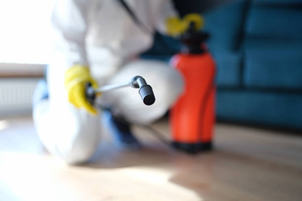 Best Environmental Consulting for Mold Prevention  in Pasadena Hills, FL
