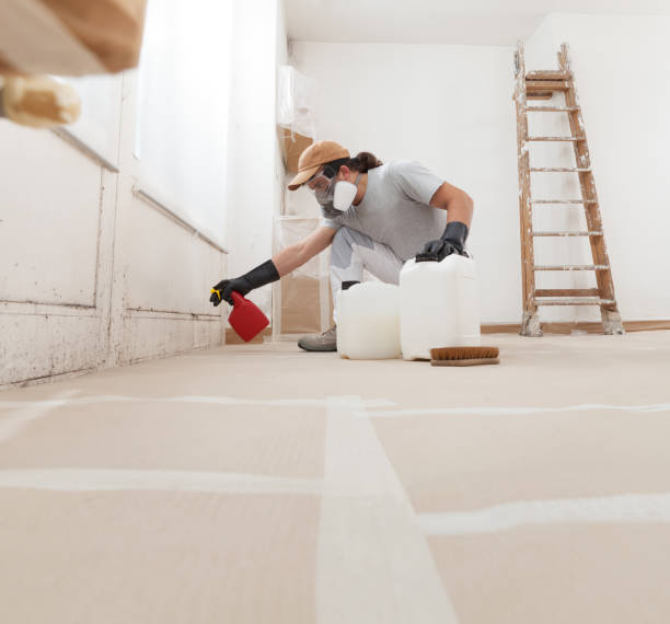 Best Dehumidification Services  in Pasadena Hills, FL