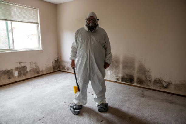 Best Mold Removal for HVAC Installations  in Pasadena Hills, FL